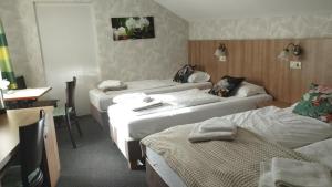 Jasmin Pension Central Location Shared Kitchen Pet Friendly