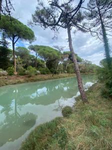 Residenza Verdi Milano Marittima
