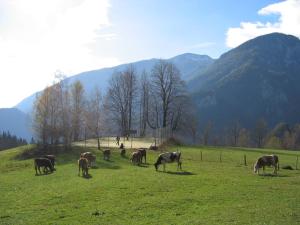Turistična Kmetija Zgornji Zavratnik