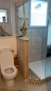 t3 terrasse , parking gratuit, climatisé