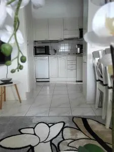 Ylläs Kanerva 105 - 易拉斯加威