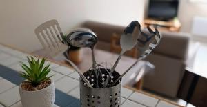 Appartements Grand studio 3 personnes idealement place : photos des chambres