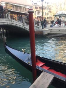 Beautiful Venice Greysclass