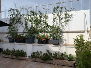 Tristar Terrace Penthouse