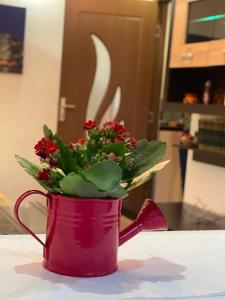 Bucuresti Comfort Apartment