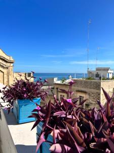 Santa Scolastica Home