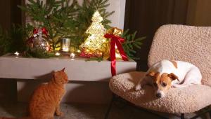 Pokój z widokiem na jezioro