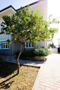 Appartamento 150 mq in villa sul mare a Fertilia