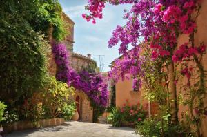 Maisons de vacances Maison de village sur Bormes les Mimosas : photos des chambres