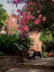 Maisons de vacances Maison de village sur Bormes les Mimosas : photos des chambres