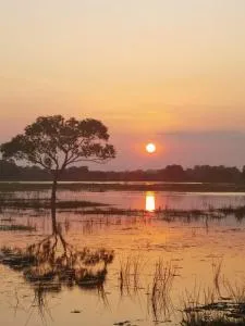 Jungle View Inn - Komarankatavai
