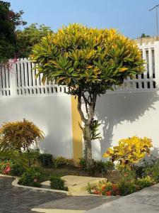 Joli appartement avec vue sur la piscine