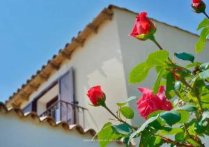 Le 3 Rose apartments