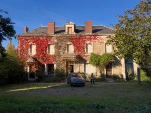 Gîte Manoir du moulin près du zoo de Beauval et les châteaux de la Loire - Pruniers