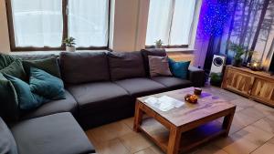 WesterOurthe 6 personen Sauna