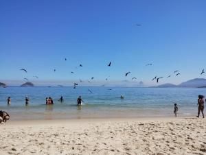 Studio Arte e Natureza