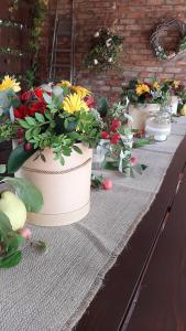 Siedlisko Nad Miedwiem