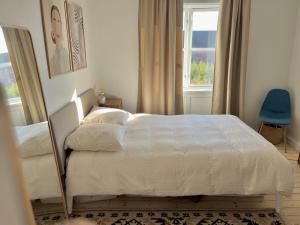 CPH Central apt 60m2