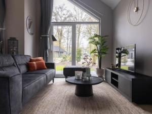 Eco Villa near Forest in Netherlands