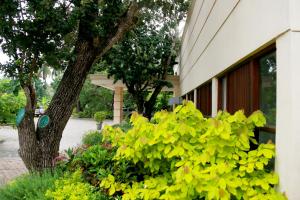 Jade Green Hotel Hambantota