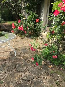Calme et tranquillité à la campagne