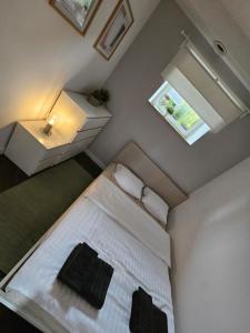 Chelosiowy Apartament Targi Kielce