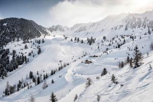 Ferienwohnung Geranie