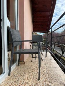 Nest near Amazonia and Iulius Town