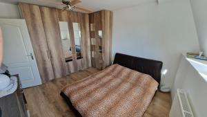 Luxury Apartment in Nis