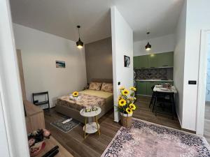 Apartament Indriti