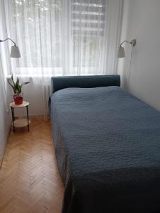 Apartament Telimena