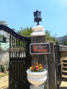 Royal Wattles