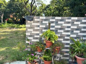 Bisht Niwas Homestay