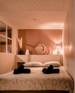 Appartements Chaleureux Studio - Centre Ville, Zenith - Wifi : Appartement 1 Chambre