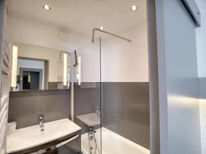 Sublime 2P 5 pers rénové, ski aux pieds, wifi - FR-1-178-2