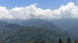 Nature's Nook - Singtām