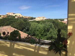 Le Pavoncelle di Stintino img12