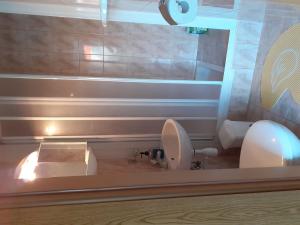 Apartment and Room Silvana