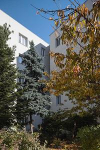 Slow house, Unique Apartment