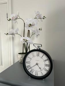 Modern 1 bed Flat with Private Courtyard