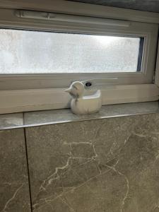 Modern 1 bed Flat with Private Courtyard