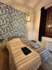 Appartements T1 : photos des chambres