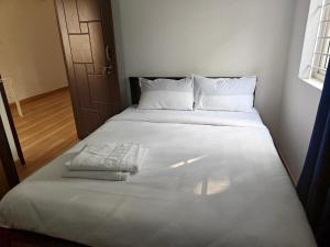 Downtown Service Apartments