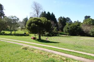 Knsyna Plato Garden Tranquil Getaway With Pool