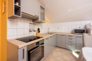 Apartment Davor