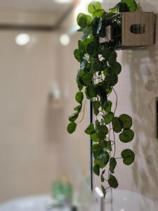 La Terraza de Predicadores by Alogest