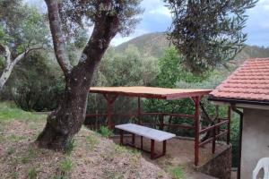 La Tana del Berü