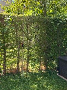 Taufrische Ferienwohnung Würzburg