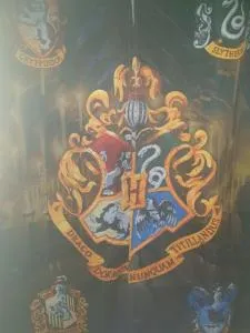 Harry Potter theme Double room in shared house - Aldenham