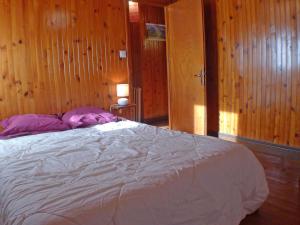 Chalet Gentiane - un lieu idéal pour des vacances en famille ou entre amis - FR-1-629-88